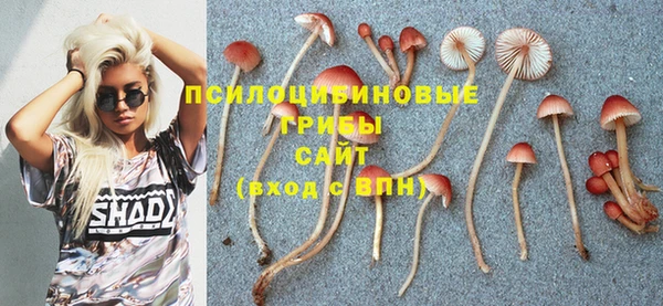 крисы Надым